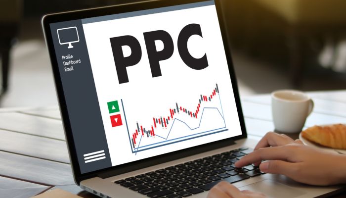 Best Digital Marketing Agency in Greystone